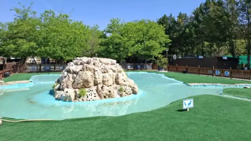 Aquapark canino - Guía completa para una visita perfecta